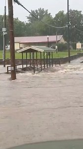#KOAMflooding 5-6” of rain in the last 24-hours near Stockton, Mo. in Cedar County >> BIT.ly/4n1o2ta - Stockton Mayor Brandon Cahill shares video of flooding in their city park, just north of the square. First is North Street then the end is Ward Street. | Joplin News First