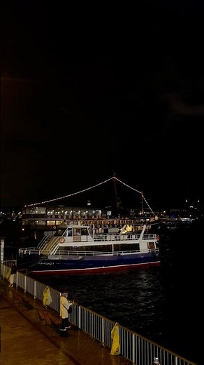 Bosphorus Dinner Cruise at Night ✨ | Istanbul Night Vibes 🇹🇷