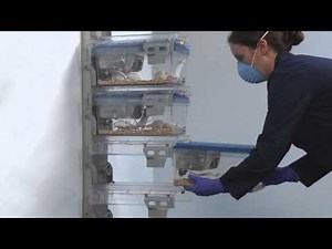 RAIR IsoSystem™ Wall Mounted Racks - Lab Products