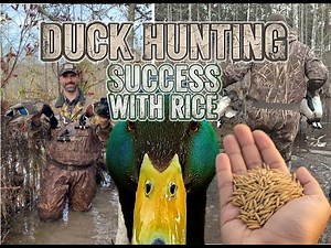 Wood Duck Limits & BONUS Mallard | NC Duck Hunting 2025
