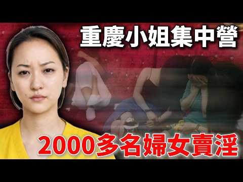 美女黑老大，建立小姐集中營，容留2000多名婦女賣淫！15年時間，斂財一個多億！竟然把妓院開在公安局對面！亮點茶樓背後的保護傘！| 文強 |