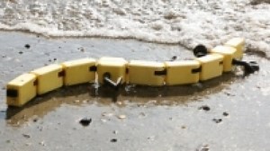 Robotul salamandră se mişcă precum o reptilă