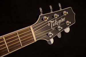 Takamine G Series Review – Honest Look At Budget Guitars