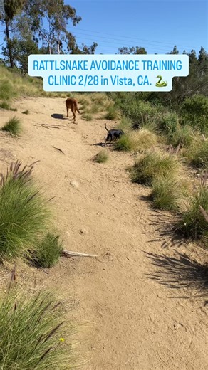 My Rules for Recall: Pick one word - and only use that one word for Recall. Usually either COME OR HERE. Practice in the house first using games (like the paper plate game), make it fun, positive and engaging. Use inflection in your voice and throw a party upon recalling to you. Teach them to allow you to grab their collar, then mark with yes and reward. Tell them GO PLAY, OR RELEASE, OR FREE to resume playing, and never let them know when we are really leaving the fun! That way they always retu