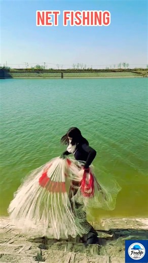 Women River Net Fishing 🎣🌊 Traditional Catching Skills in Action #fishing #shortsvideo #netfishing 🐟