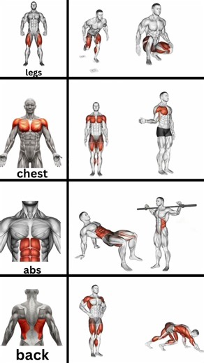 Full Body Workout for Men | Build Muscle & Burn Fat Fast | Home & Gym Routine 🔥#shorts #ytshorts #yt