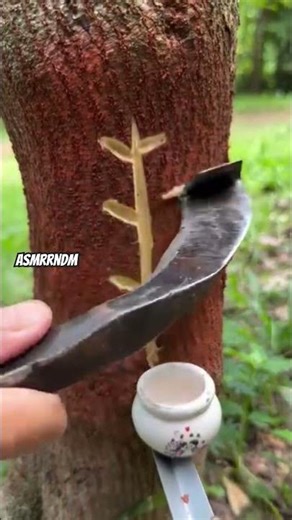 Tree trunk🪵 #trunk #artandcraft #craft #satisfying #cuttingart #cuttingskills #nature