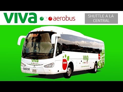 VIVA BUS - Review #8 Airport Shuttle to Bus Station