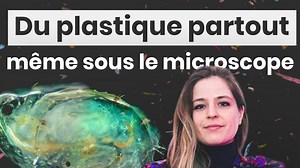 On passe au microscope des microplastiques de l’eau du parc La Fontaine
