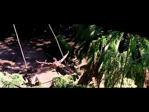 The Rundown fight scene