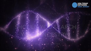 Your DNA test: Readers share amazing ancestry tales, surprise family members