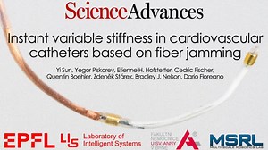Instant variable stiffness in cardiovascular catheters based on fiber jamming | Yegor Piskarev