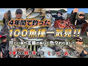 【熊本天草の釣り100魚種一気見総集編】上天草の堤防をメインに五目釣りを突き詰めて100魚種チャレンジした軌跡 #釣り #熊本 #上天草