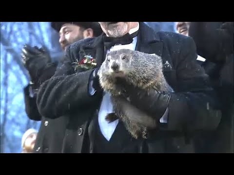 Groundhog Day 2020: Punxsutawney Phil predicts early spring