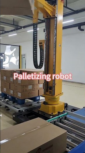 Automatic Palletizer Machine | Carton, Bag & Bottle Palletizing Solution