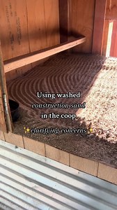 Here is my answer to concerns on using washed consturction sand in the coop!🐓 @simply chickens #chickensoftiktok #poultryfarming #backyardchickens #crazychickenlady #raisingchickens #chickens #homestead #farm #farmlife #chick~ | Simply Chickens