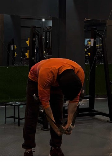 Pain and Gain: The True Journey of Fitness