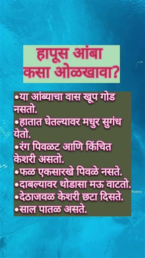 हापूस आंबा कसा ओळखावा? #shorts