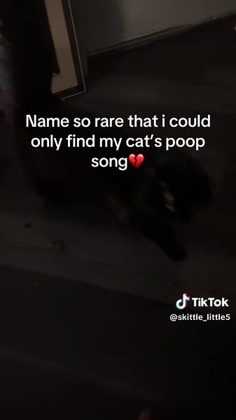 What if i want to have a poop song💔 #nyx #poop #poopsong