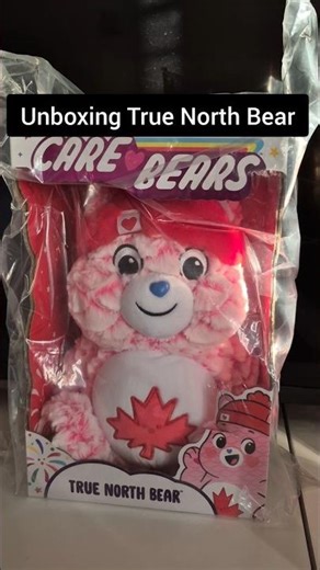 Care Bears Unboxing - True North Bear