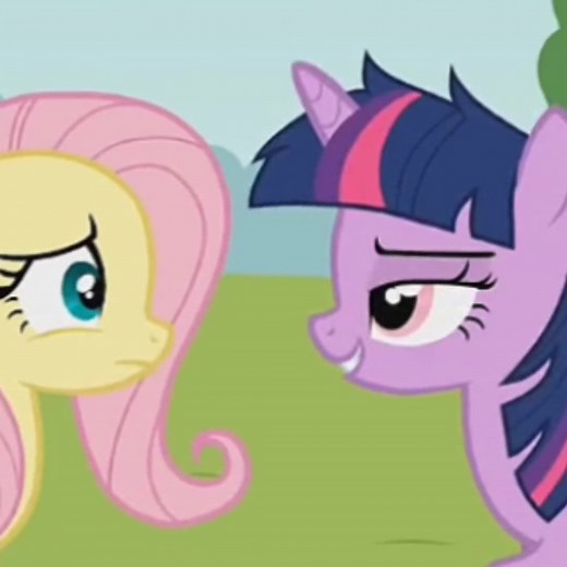 Twilight Sparkle and Fluttershy Magical Moments