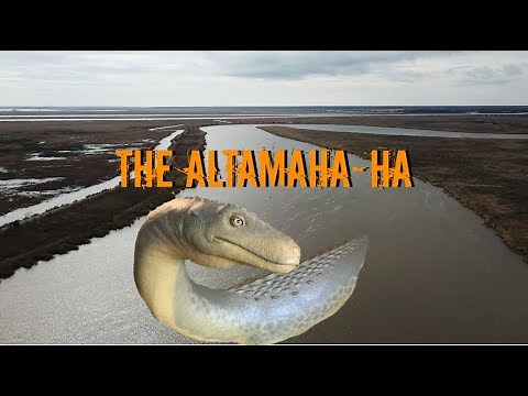 The Altamaha-ha (Georgia's River/Sea Monster)