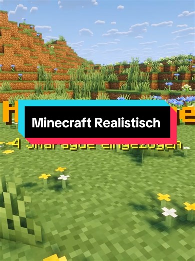 Minecraft Realistisch: Part 9 mit Plugins