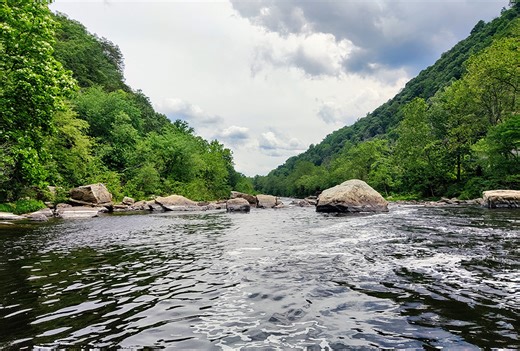 Virginia DEQ report blames Covington papermill for Jackson River fish kill