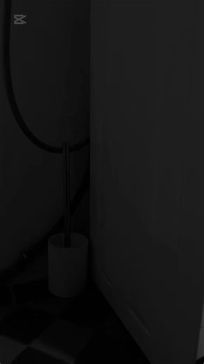 washerlg (@washerlg)’s videos with Dixie(PHONK) - K7K7