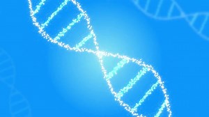 Download DNA Strand - aedownload.com