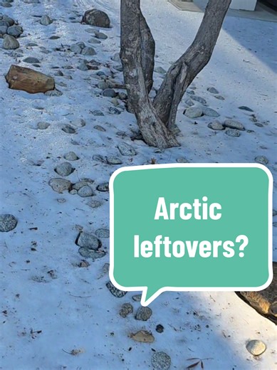 shell_wil_shine❌️ (@shellhigginbotham)’s videos with Cold as Ice - Foreigner