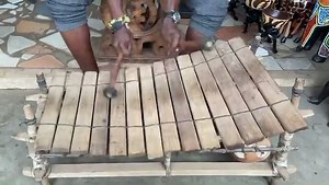 The xylophone also known in Ghana as the gyil is made of 14 wooden slats strung across calabash gourd resonators. The buzzy rattle emitted with each note comes from the silk walls of spiders’ egg sacs stretched across holes in the gourds. The gyil’s earthy sound can be heard in parts of Upper West and Northern Regions of Ghana by the Dagaare, Sisaala and the Lobi people. Two things about Ghanaian gyil music that are likely to grab a first-time listener: the deep, resonant buzz of the bass notes,