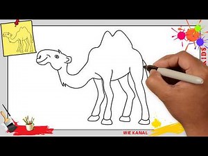 Kamel zeichnen schritt für schritt für anfänger & kinder - Zeichnen lernen 3