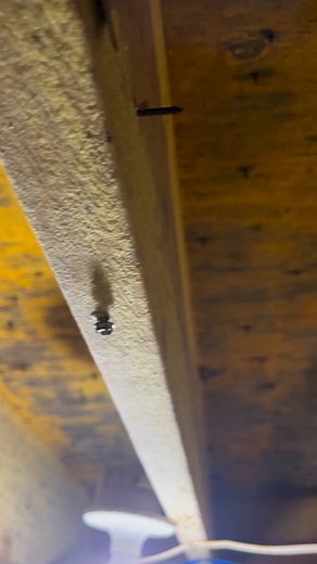 Don’t Let Your “Crawlspace Issues” Affect Your “Home or Family” Let our “Professional Mold Inspectors” take care of your “Home and Business” and give you that “Peace of Mind” Give us a call today !! (205) 471-2686 Crawlspace #crawlspace #inspection #professionalmode #professional #basement #restoration #mold #moldremediation #houseprojects #homeprojects #homesweethome #homeprojects #mits #mitigation #ProfessionalDevelopment #drying #musty #odorremoval #odor #odoreliminator #encapsulation #encaps