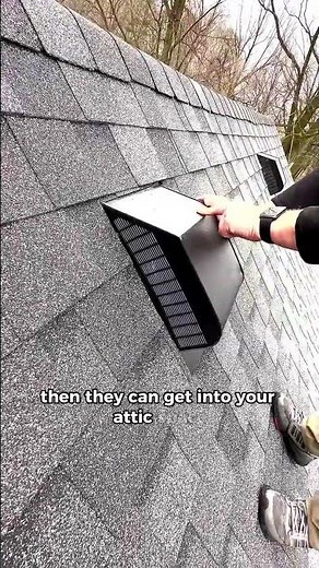 How Bats Enter Your Attic Through the Roof
