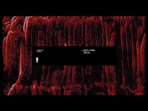 Infekt & MVRDA - Untitled