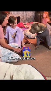 Pitty vs jack in the box 🤣🤣🤣 | Pablo The Bully