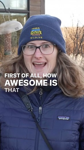 What can we say? Birds are awesome. | Iowa Department of Natural Resources