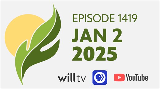 Creative Holiday Decorations Using Evergreens | Illinois Public Media