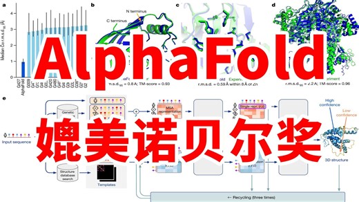 Nature上最重要的论文AlphaFold讲了什么？作为一个打工人，咱们需要会些什么才能进公司？
