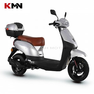 [Hot Item] 50cc 125cc 4 Stroke Gas Gasoline Motorcycle Scooter (sunny50)