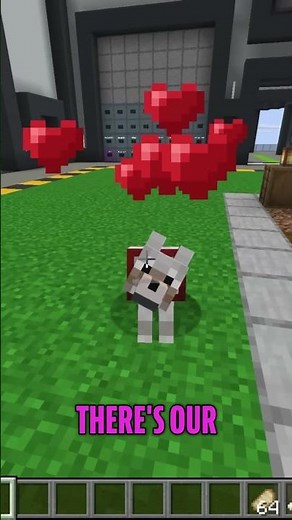 Minecraft Wolf Breeding Myth BUSTED: Tamed vs. Untamed Secrets REVEALED! #shorts