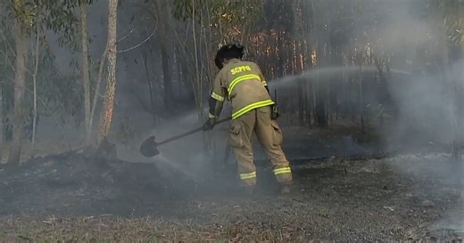 Fire crews fighting 20 acre fire near Corkscrew Road in Lee County
