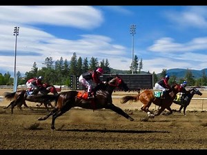 Horse Racing Live | Grants Pass & Mountaineer Live Stream & Betting plus MORE!