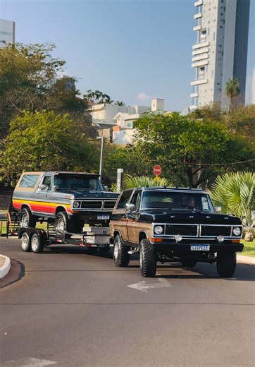 #ford #bronco #fordf1000 #fordbronco | ford bronco