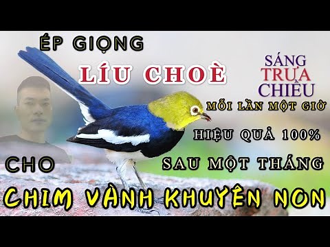 Vocabulary Practice - Squeeze Counseling to be 100% effective after a month for young Khuyen Khuyen