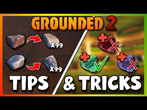 Grounded 2: The Best Tips & Tricks!