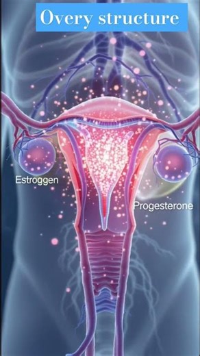 🧑🫄😲Ovary | #shots | #ytshots | #amagingshorts | #edufactsworld