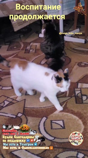 Education continues.