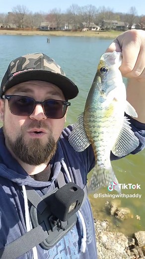 Caught my first Crappie #crappiefishing #fishing #lure #lake #fish | crappie fishing